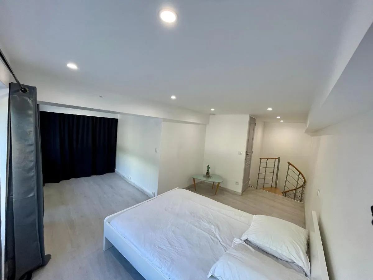 リヨンLoft Ravissant A 5 Mn De La Basilique Notre Dame De Fourviereアパートメント フランス